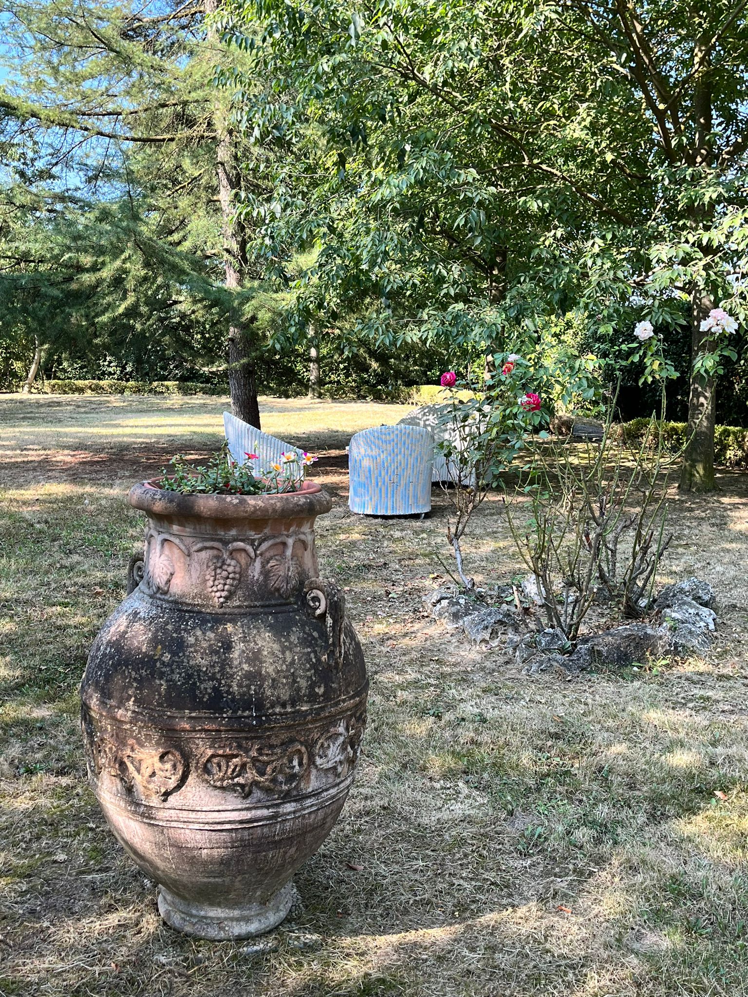 Foto 19
