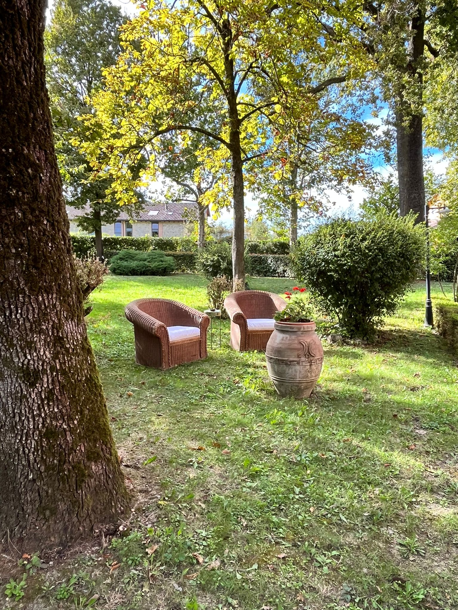 Foto 40